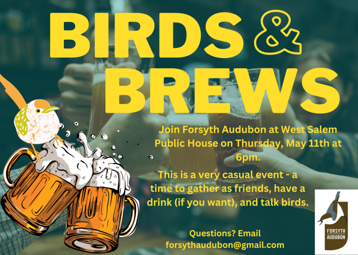 Birds & Brews Piedmont Environmental Alliance